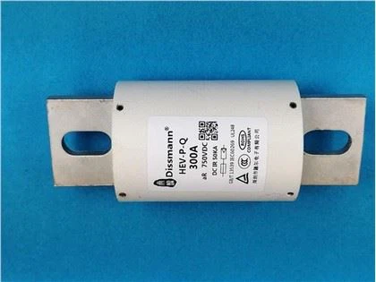 100 Ampere Batteriesicherung